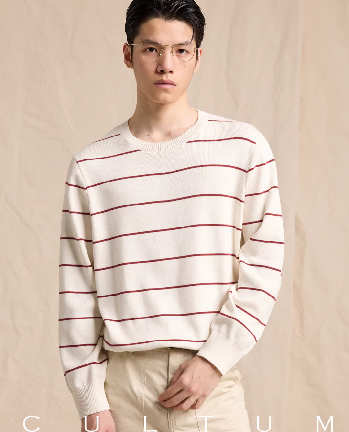 Men's Crew Neck Striped Knit Sweater