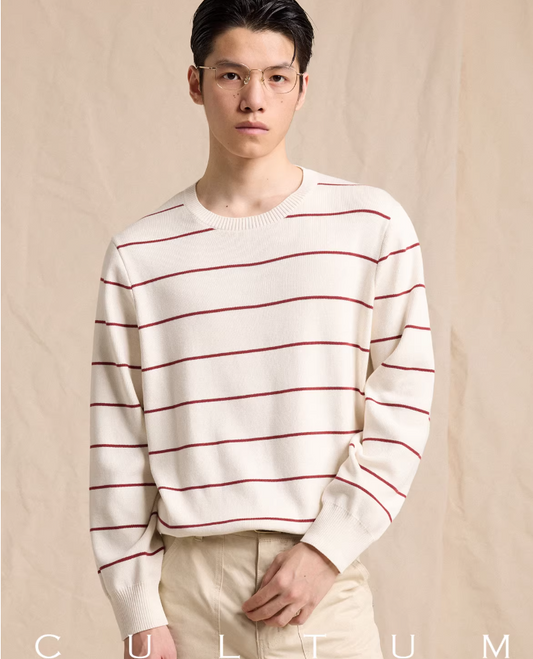Men's Crew Neck Striped Knit Sweater