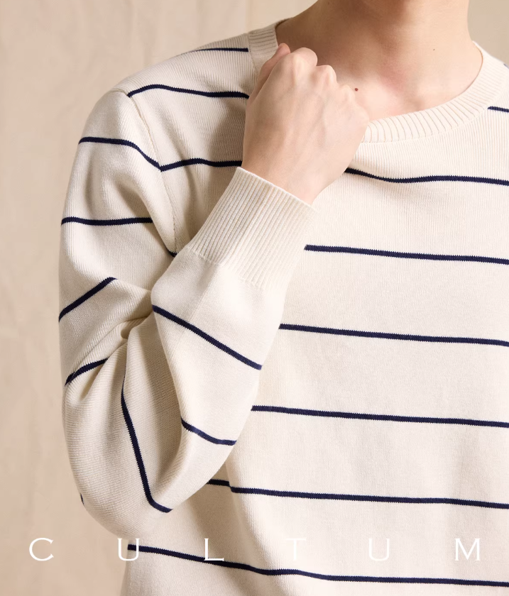 Men's Crew Neck Striped Knit Sweater